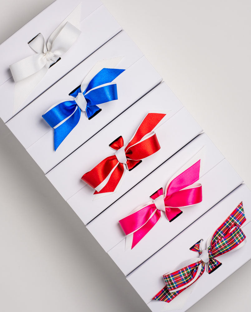 Bernese Mountain Dog