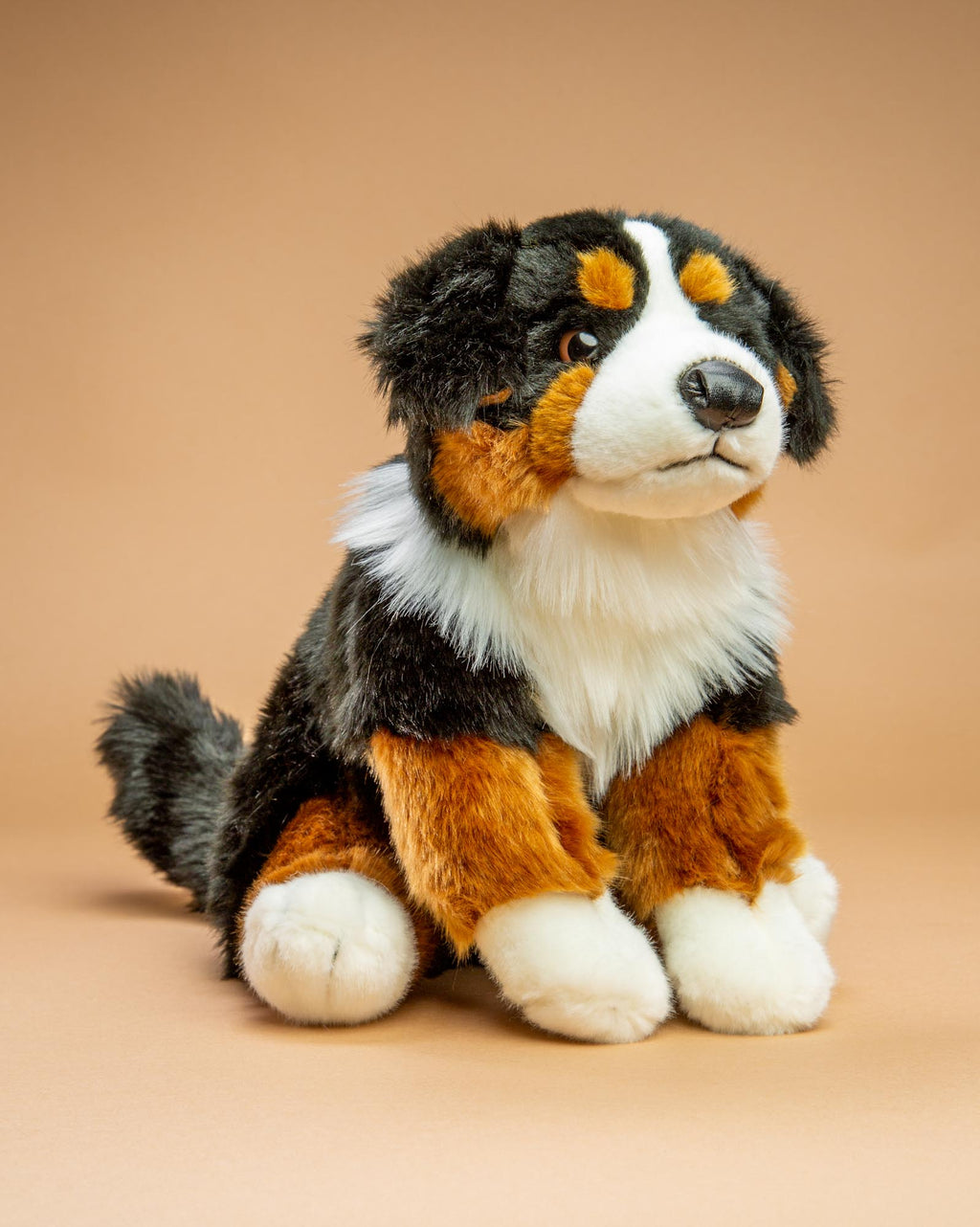 Bernese Mountain Dog
