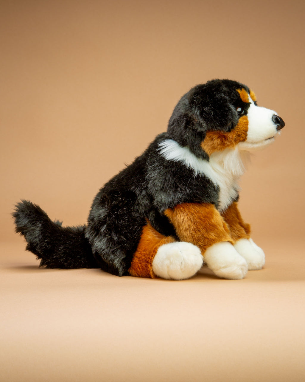 Bernese Mountain Dog